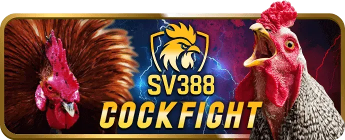 Cá cược bóng đá tại aog777 Casino